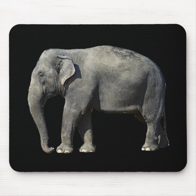 Anpassa Elephant Musmatta (Framsidan)