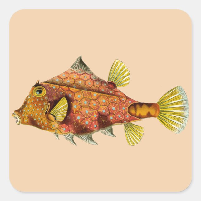 anpassa etiketter för fiskskrot (Framsida)