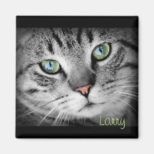 Anpassa ett magnet med din favoritpet!