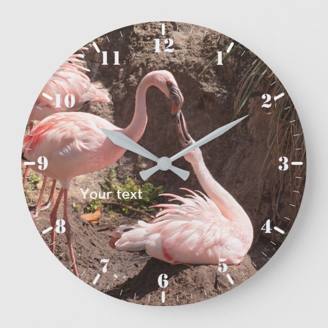 Anpassa Flamingoes-fåglar i fotografi av Kärlek Stor Klocka (Framsida)