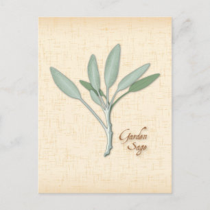 Anpassa Garden Sage Herb-vykort Vykort