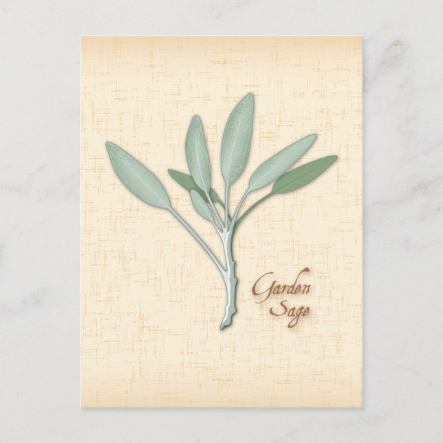 Anpassa Garden Sage Herb-vykort Vykort (Framsida)