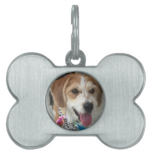Anpassa med din hunds foto ID-bricka husdjur