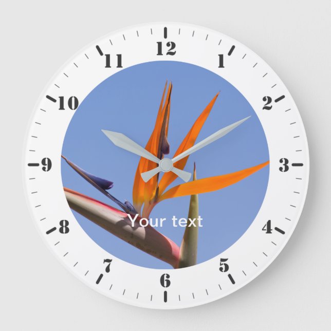 Anpassa med timmarkörer och minutuppringningar stor klocka (Framsida)