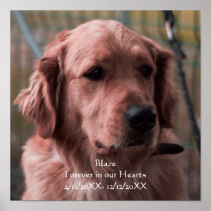 Anpassa minnesknapparna för fotouppsättning poster