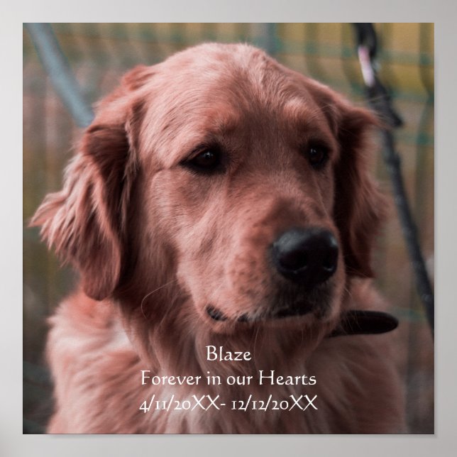 Anpassa minnesknapparna för fotouppsättning poster (Framsidan)