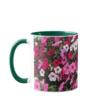 Anpassa Namn och fjällkoffen från födelsedag