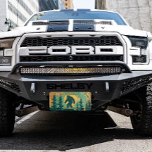 Anpassa Oklahoma Bigfoot Squatchin State-symbol