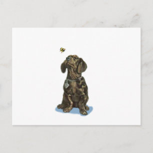 Anpassa presenter för Dachshund och bikonst Vykort