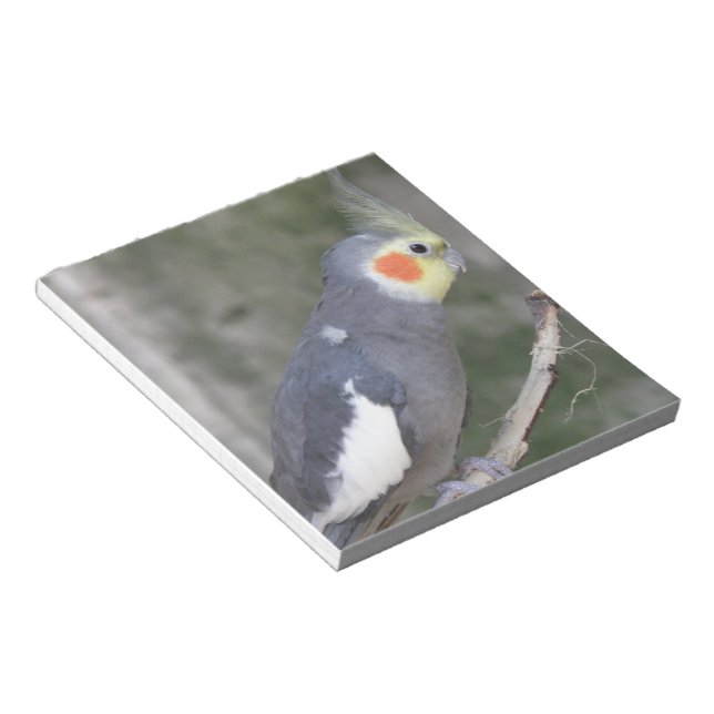 Anpassa produkt anteckningsblock (Vinklad)