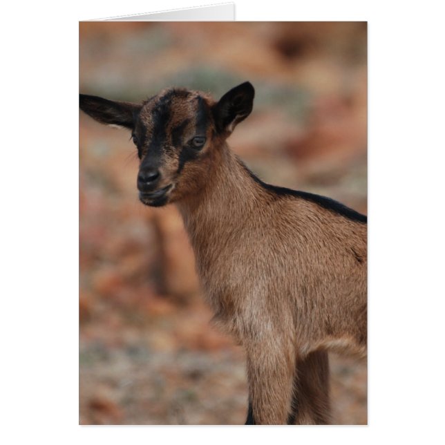 Anpassa produkt hälsningskort (Framsidan)