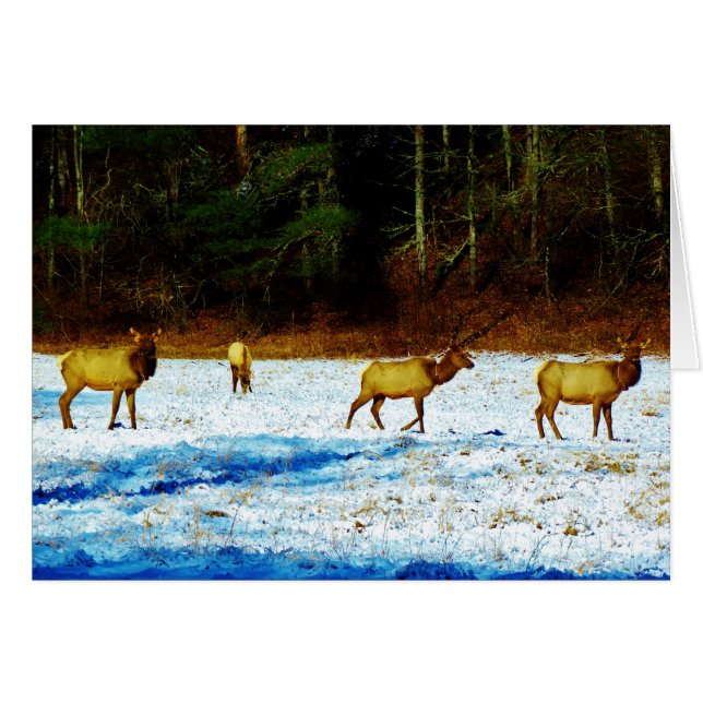 Anpassa produkt hälsningskort (Framsidan Horizontal)