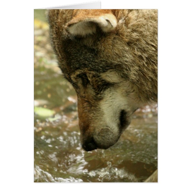 Anpassa produkt hälsningskort (Framsidan)