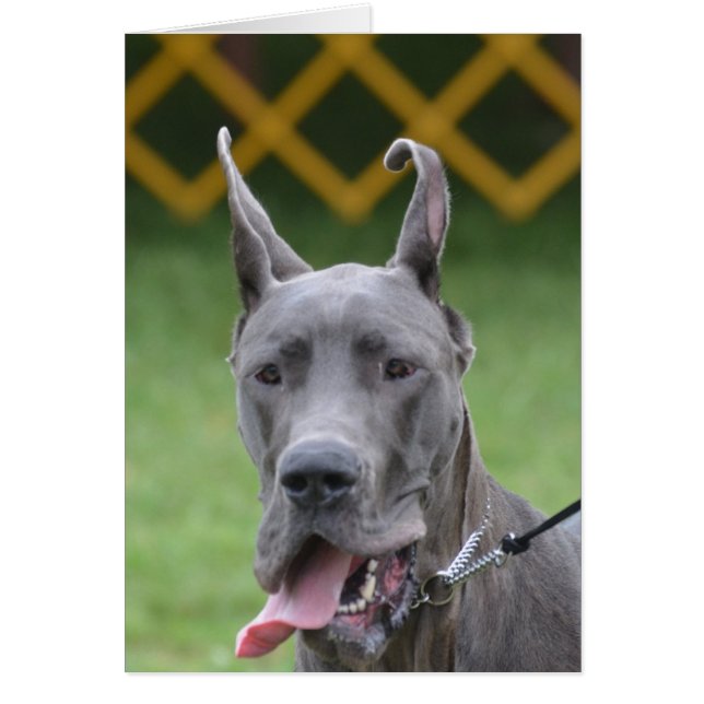 Anpassa produkt hälsningskort (Framsidan)