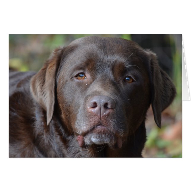 Anpassa produkt hälsningskort (Framsidan Horizontal)