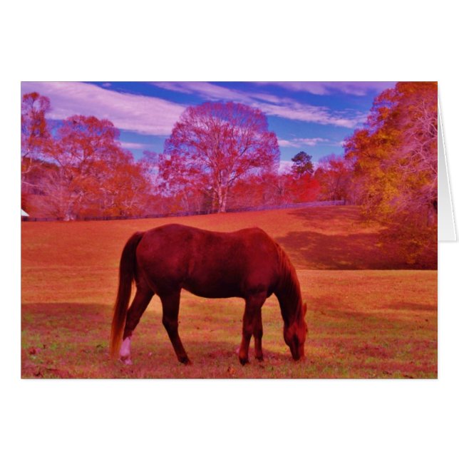 Anpassa produkt hälsningskort (Framsidan Horizontal)