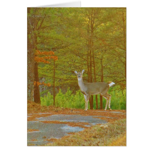 Anpassa produkt hälsningskort (Framsidan)