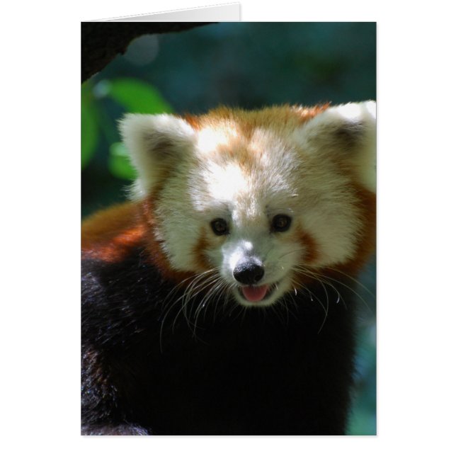 Anpassa produkt hälsningskort (Framsidan)