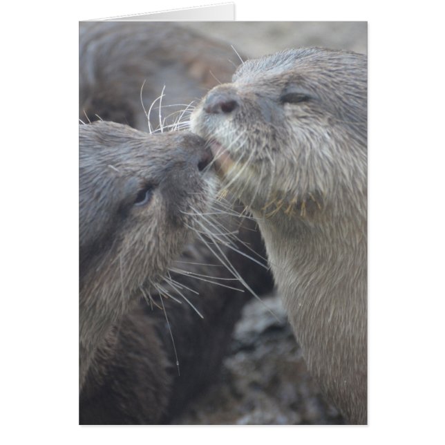 Anpassa produkt hälsningskort (Framsidan)