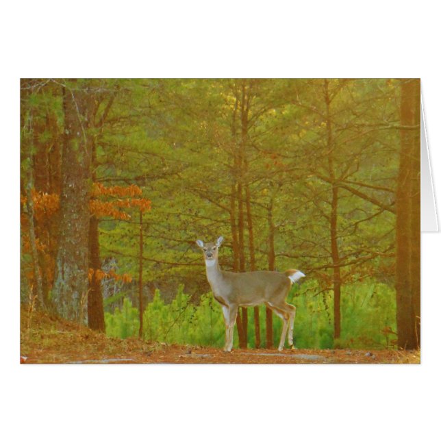 Anpassa produkt hälsningskort (Framsidan Horizontal)