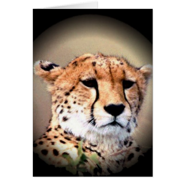 Anpassa produkt hälsningskort (Framsidan)