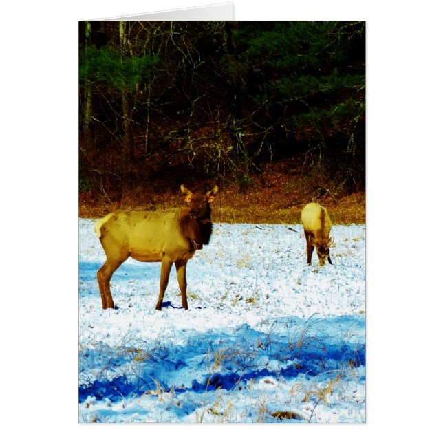 Anpassa produkt hälsningskort (Framsidan)