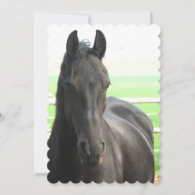 Anpassa produkt inbjudningar (Framsida)