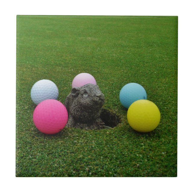 Anpassa produkt kakelplatta (Framsidan)