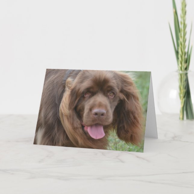 Anpassa produkt kort (Framsida)