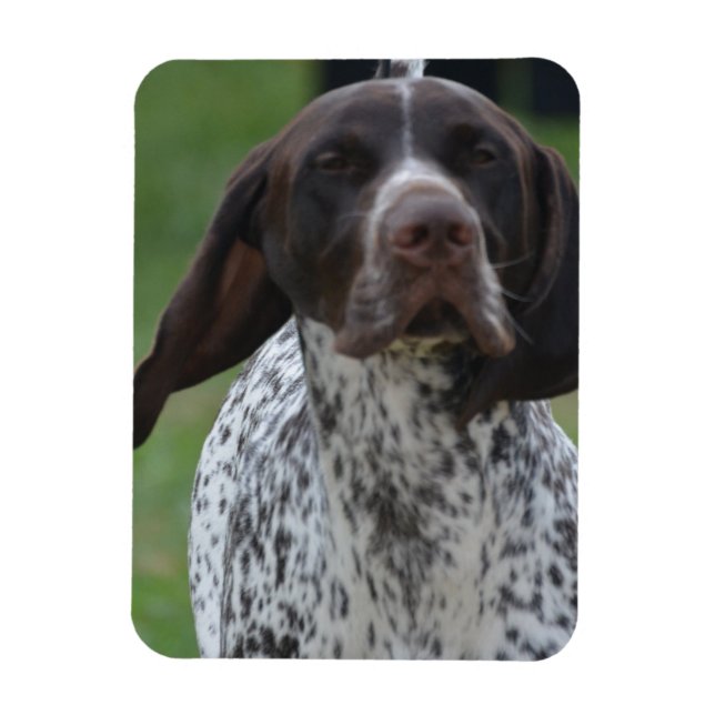 Anpassa produkt magnet (Vertikal)