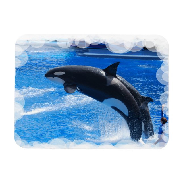 Anpassa produkt magnet (Horisontell)