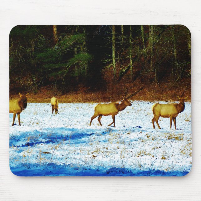 Anpassa produkt musmatta (Framsidan)