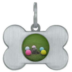 Anpassa produkt namnbricka husdjur