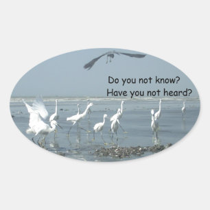 Anpassa produkt ovalt klistermärke