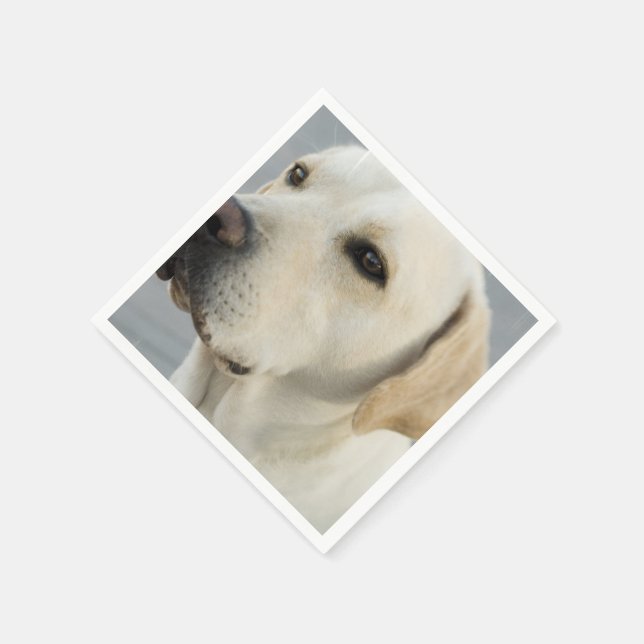 Anpassa produkt pappersservett (Hörn)