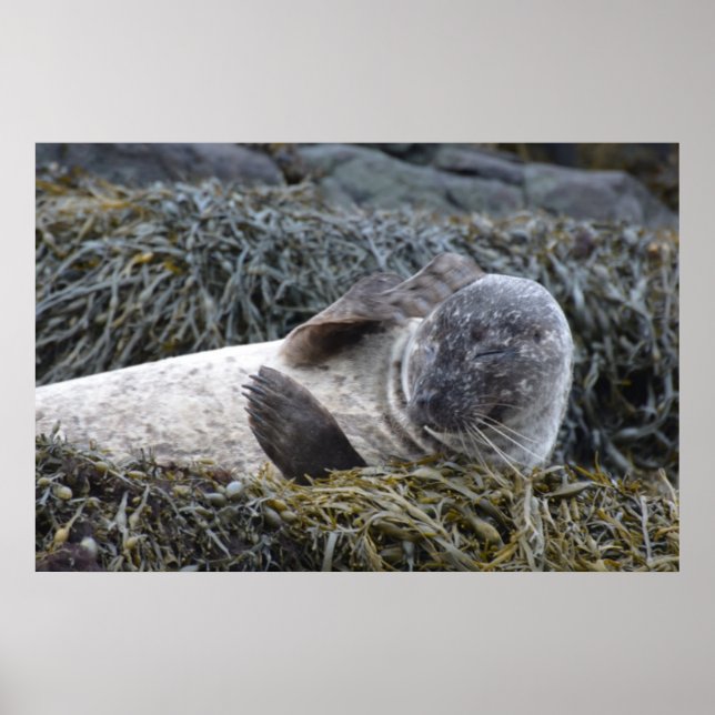 Anpassa produkt poster (Framsidan)