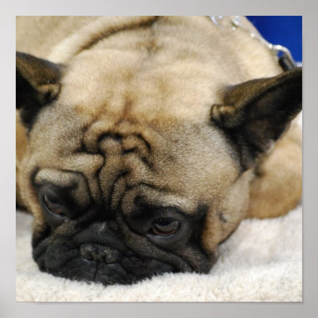 Anpassa produkt poster (Framsidan)