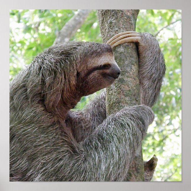 Anpassa produkt poster (Framsidan)