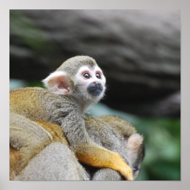 Anpassa produkt poster (Framsidan)