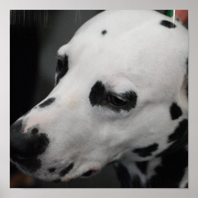 Anpassa produkt poster (Framsidan)