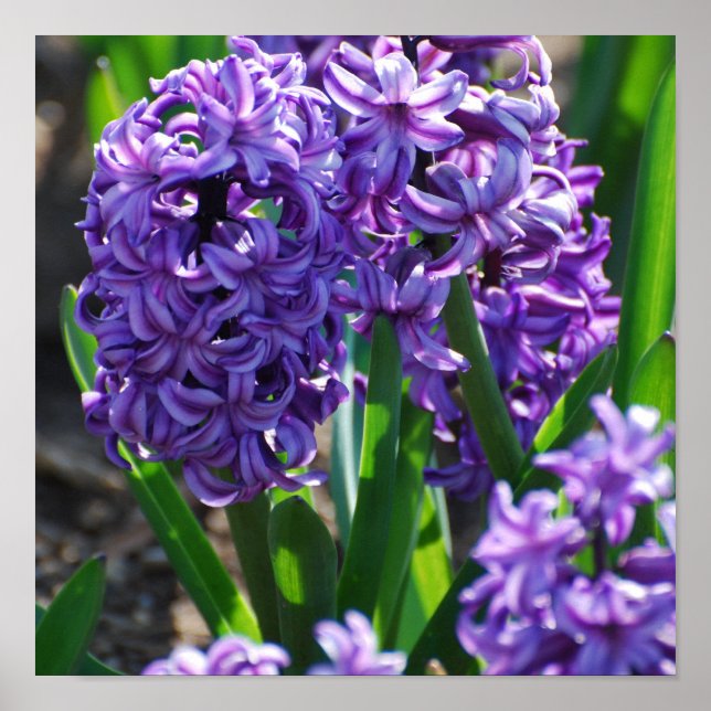 Anpassa produkt poster (Framsidan)