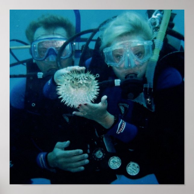 Anpassa produkt poster (Framsidan)