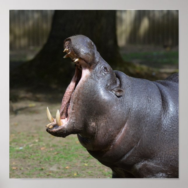 Anpassa produkt poster (Framsidan)