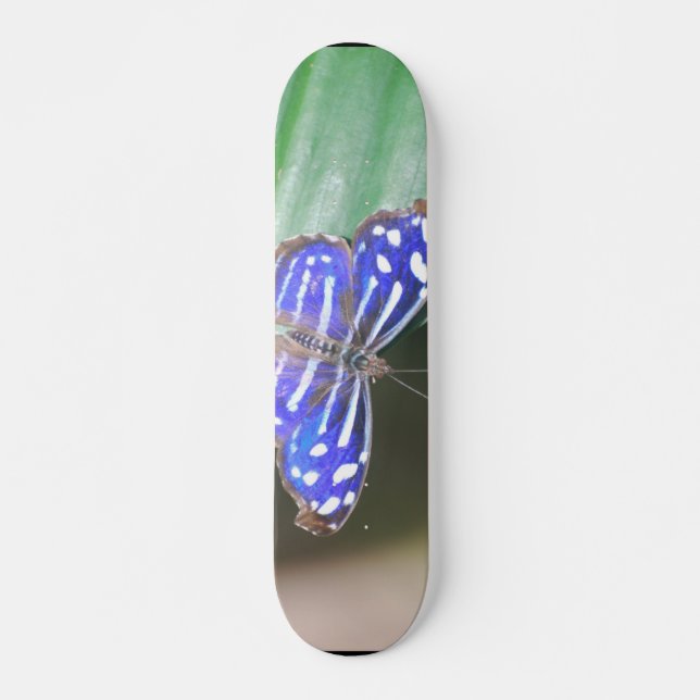 Anpassa Produkt Skateboard Bräda 20,5 Cm (Framsida)