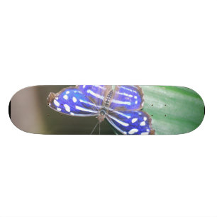 Anpassa Produkt Skateboard Bräda 20,5 Cm