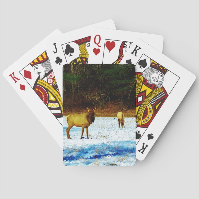 Anpassa produkt spelkort (Baksidan)