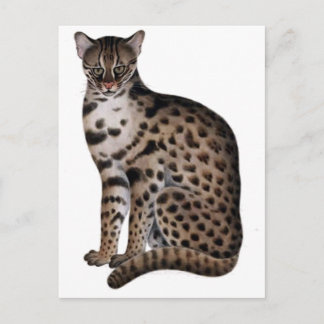 Anpassa produkt vykort