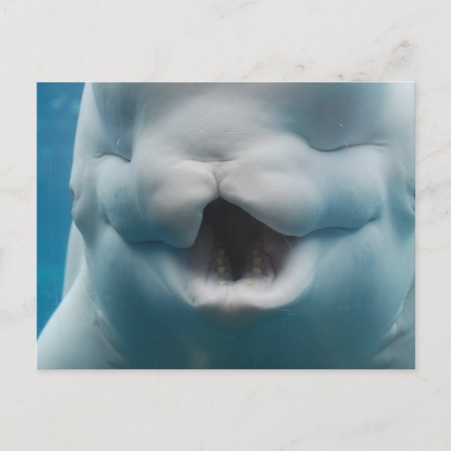 Anpassa produkt vykort (Framsida)