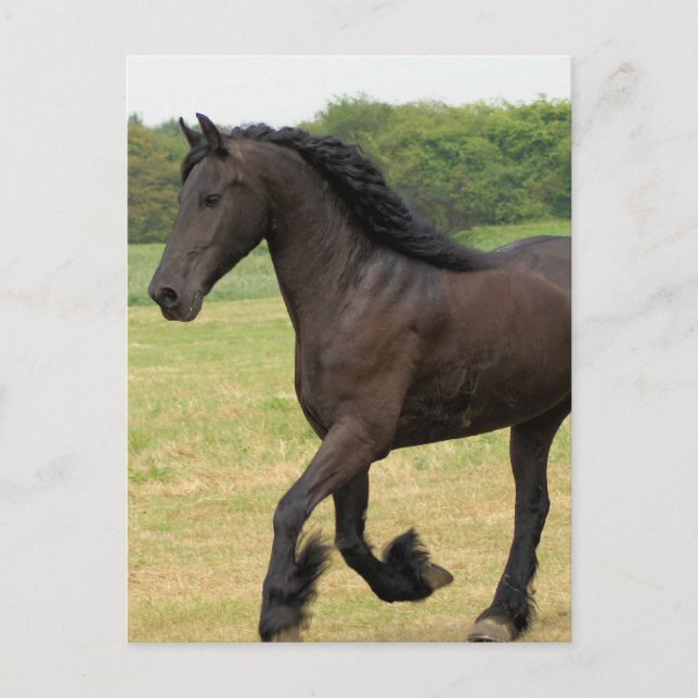 Anpassa produkt vykort (Framsida)