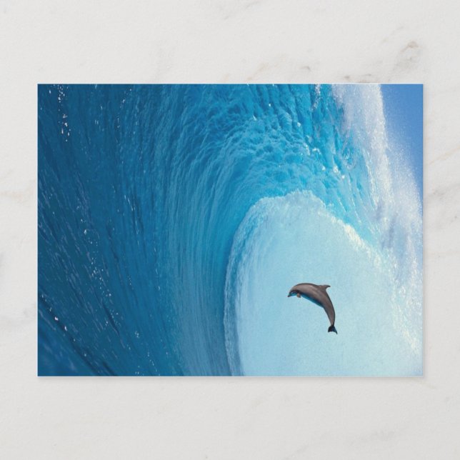 Anpassa produkt vykort (Framsida)